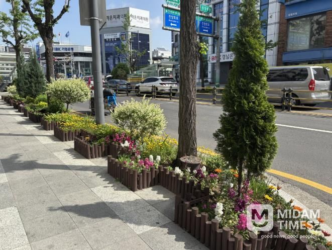 진주시, 봄꽃 향기 가득한 원도심... 활력의 거리로 피어나다