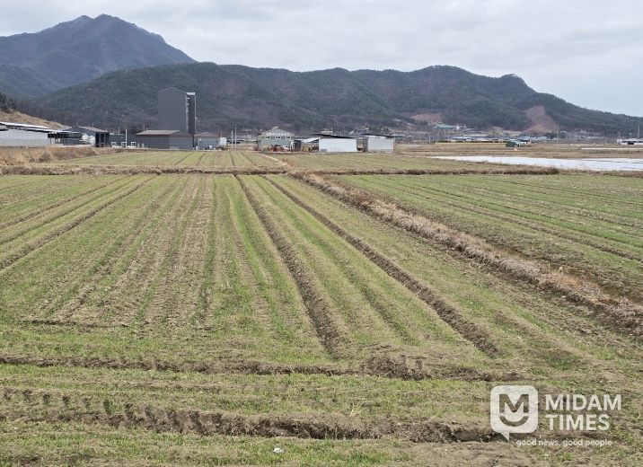봄철 맥류 관리 ‘골든타임’…구미시, 현장 기술지원 강화배수로