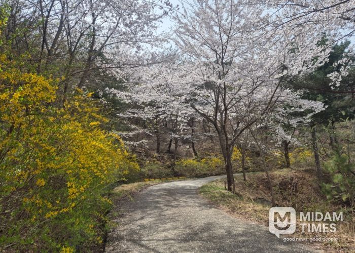 토함산자연휴양림, ‘꽃묘 나눔 행사’ 개최