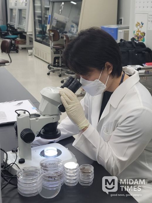 경기도, 일본뇌염·뎅기열 매개모기 감시사업 추진