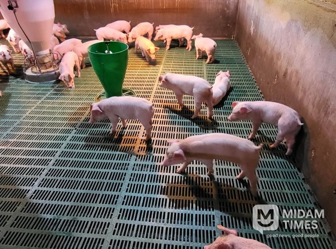 양돈장 사진(행복농장)