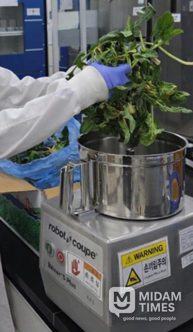 실험용 분쇄기(시금치)