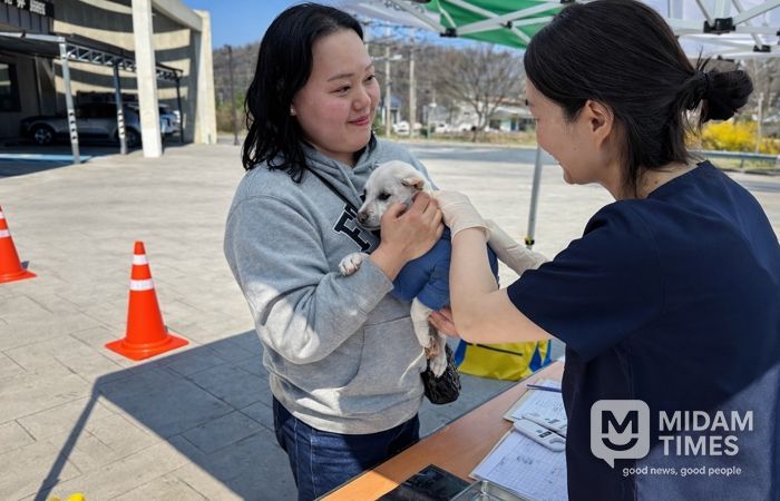 경주시, 반려견 광견병 무료 예방접종 실시