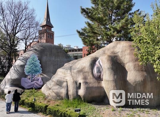 달서구, ‘이만옹’ 과 편백나무로 생명·세대 메시지 담은 상징 콘텐츠 공개