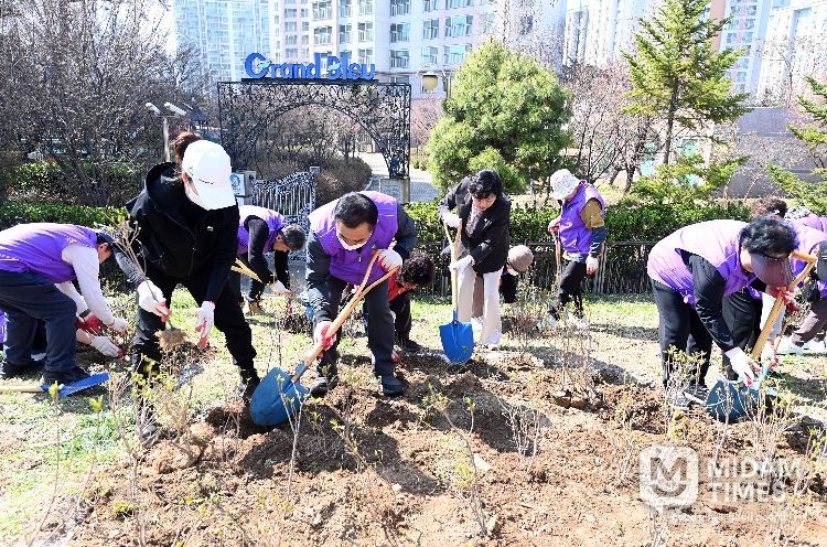 제81회 부평구 식목일 나무심기 행사