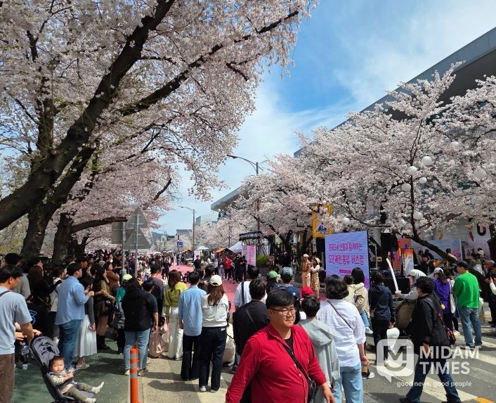 2026 안동 벚꽃축제, 체류형 관광 성과 확인