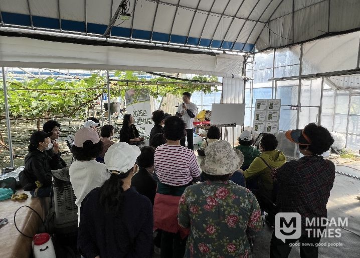 농촌인력지원 특별 기술교육(포도 알 솎기) 신청 접수