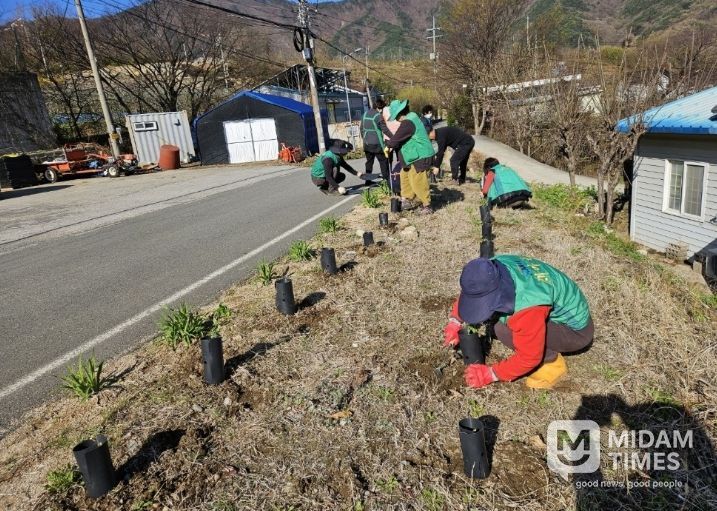 밀양시새마을회와 산내면 동명마을 주민들이 탄소중립 실천을 위해 묘목을 심고 있다