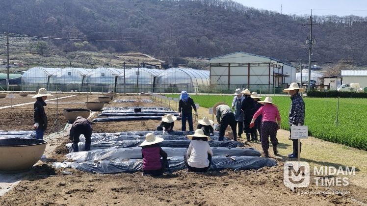 기억씨앗 치유농업 프로그램 운영