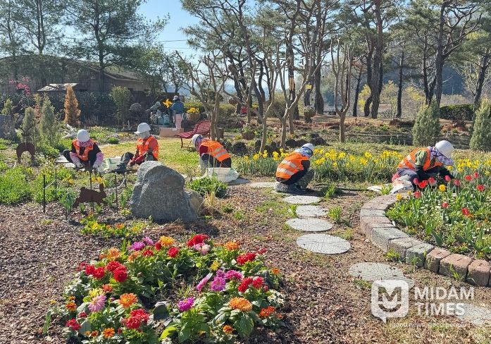 합천군, 봄맞이 녹지공간 정비‘박차’…도심 곳곳 생기 더한다