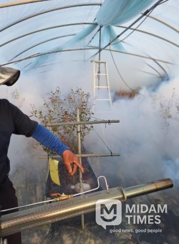 담양군, 봄철 ‘마을 일제 방역’ 총력… 해충 조기 박멸 나선다