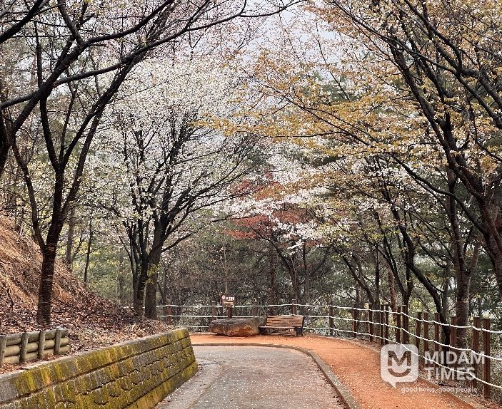 아쉬운 봄, 성주봉자연휴양림에서 다시 붙잡으세요