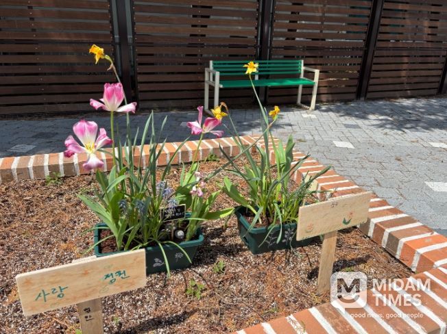 화분심기치유체험