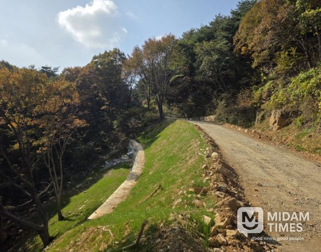 지난해 집중호우 산림 피해지 복구
