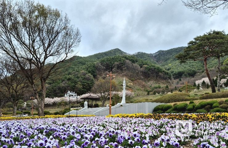거창사건추모공원, 봄꽃으로 물들다