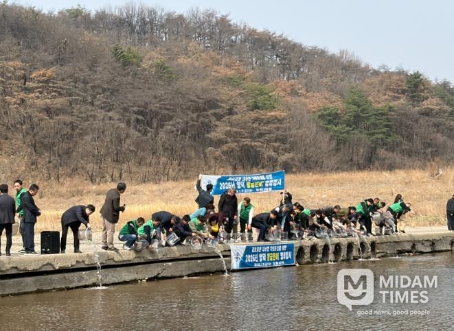 영덕군 지역 특산물인 황금 은어를 보존하기 위해 지난 3월 어린 개체를 방류하고 있다.