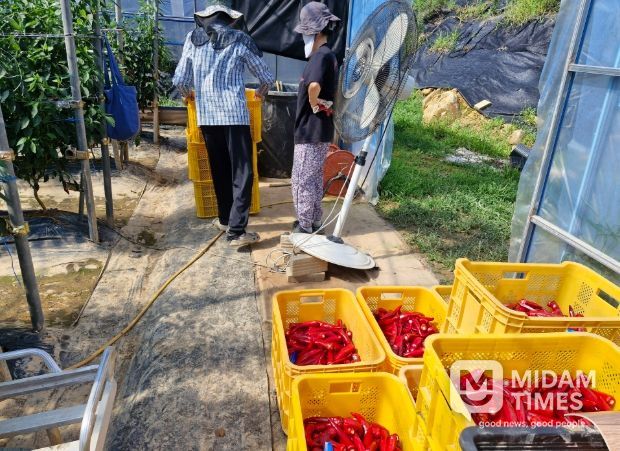 귀농, 살아보고 결정하세요! ‘거창군, 농촌에서 살아보기 참가자 모집’