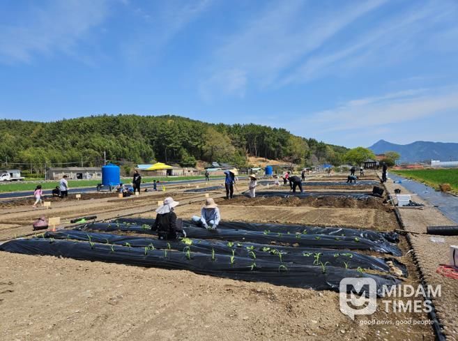 고성군, 주말농장 개장! “농업 체험하며 힐링”