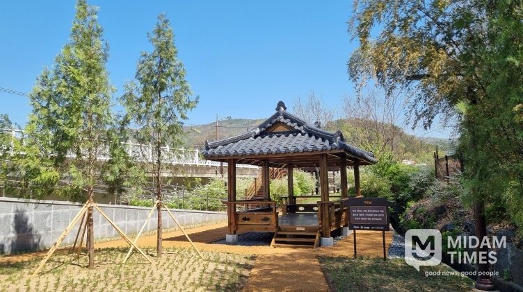 대구 동구청은 도동 측백나무숲 산림생태복원 사업을 완료했다.