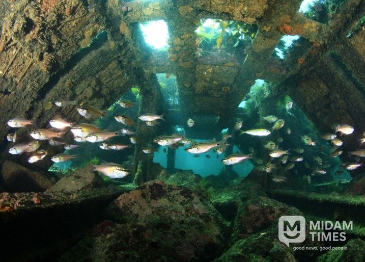 인공어초-하우스형 해중림초(거제 저구리)