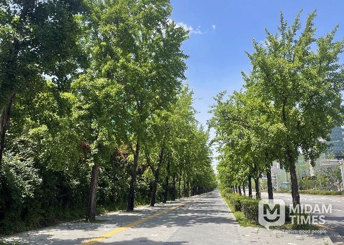 송파구 은행나무길(2021년, 아름다운 가로수길)