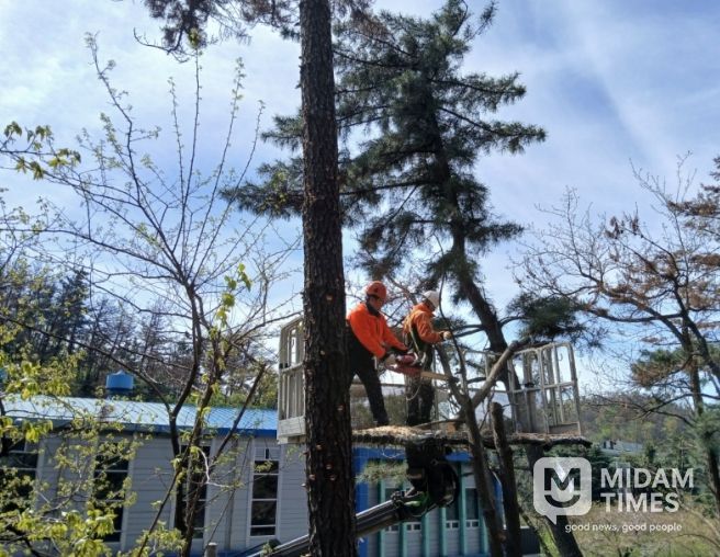 포항시가 태풍과 집중호우 등 재해로부터 시민의 생명과 재산을 보호하기 위해 ‘2026년 상반기 재해위험목 제거사업’을 본격 추진한다.