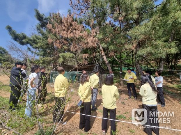 시흥시 첫 소나무재선충병 발생