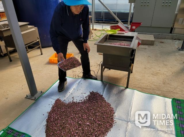 꽃밥 정선(꽃가루(花粉)정선기를 이용하여 꽃잎이나 그 밖의 것으로 부터 꽃밥만 수집)
