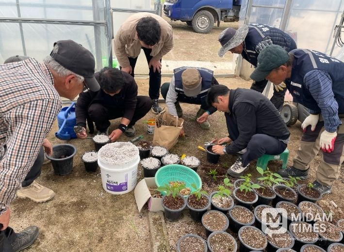 김천시, 호두나무 묘목 생산 기술 현장설명회 개최